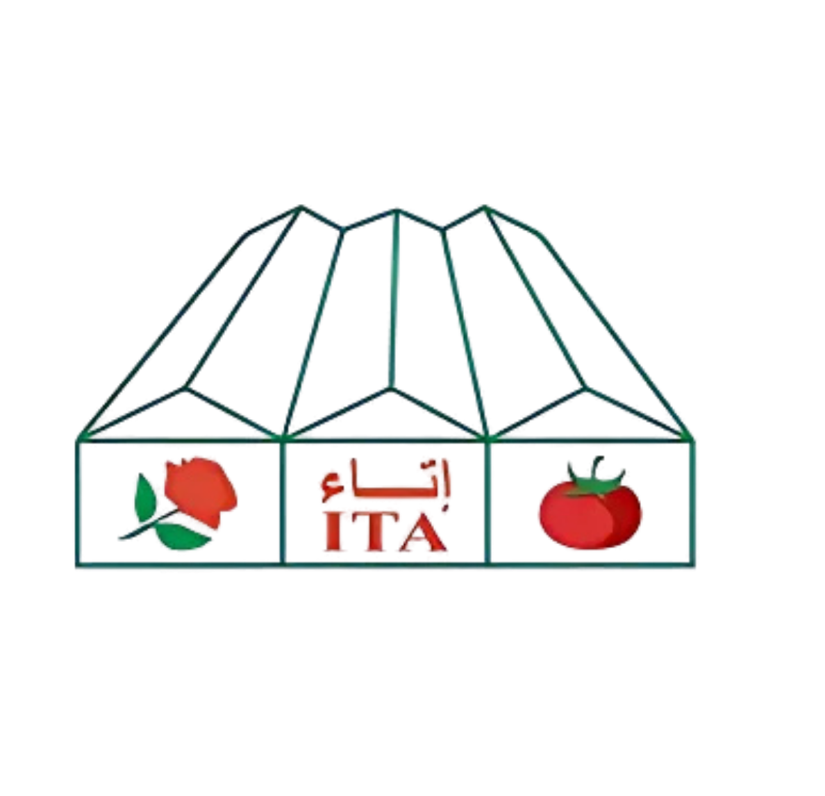 Client 91